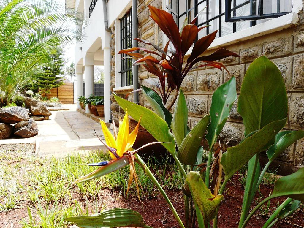 Maison Mitwaba Nairobi Luaran gambar